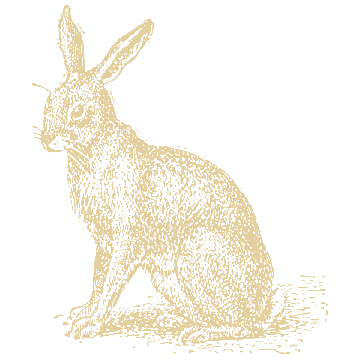 Haren er et ikon hos The Woodland Lodge Gisselfeld
